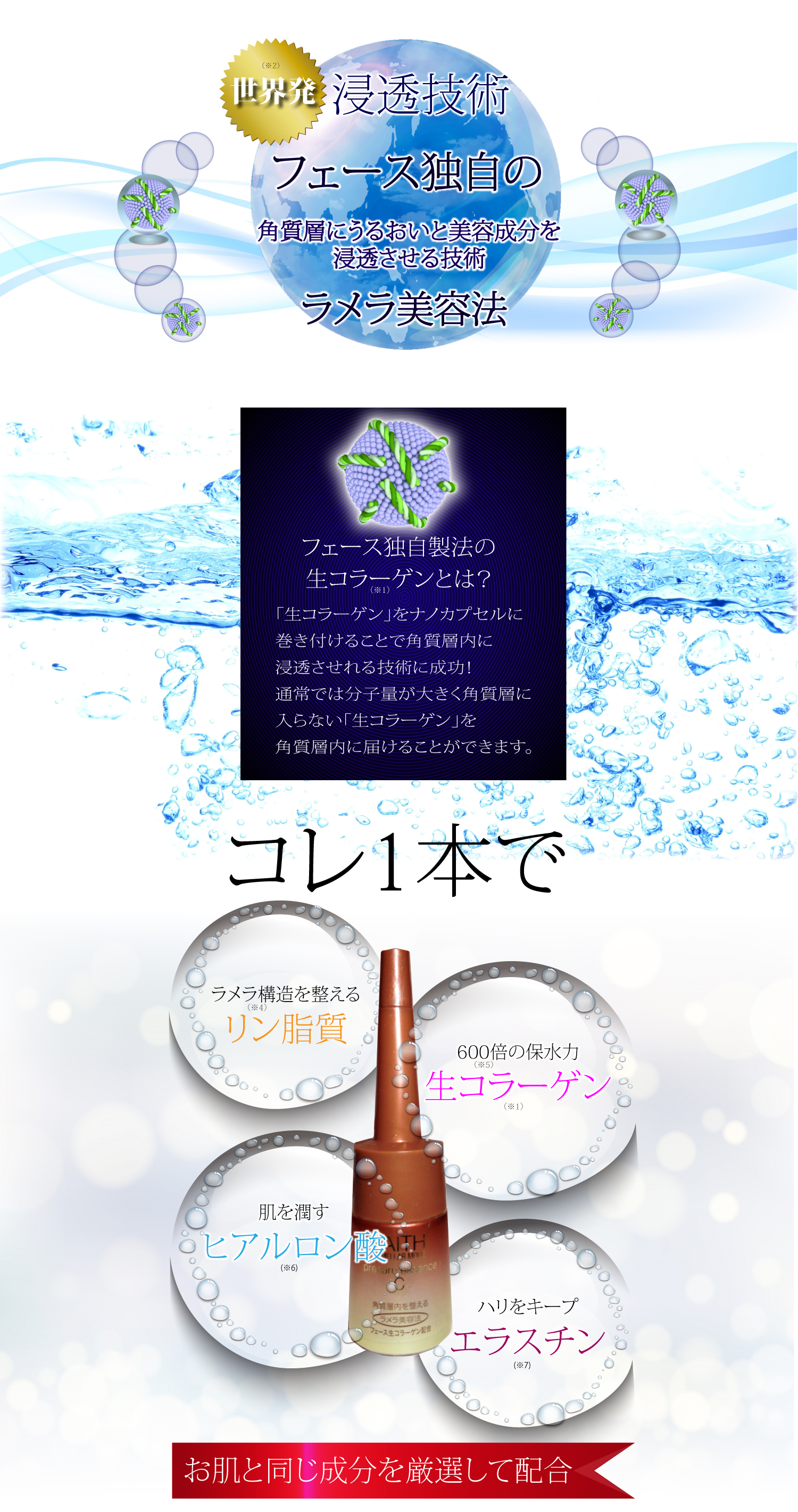 フェースラメラ美容法と生コラーゲン